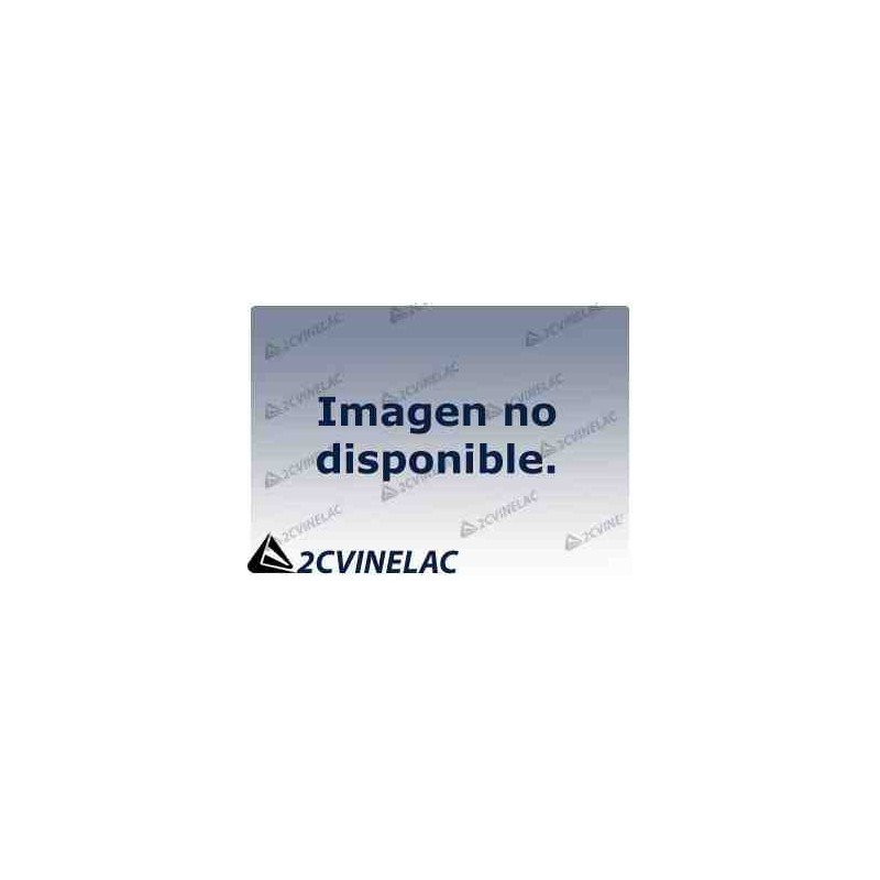 PLATINO DS (IE) 10/71.