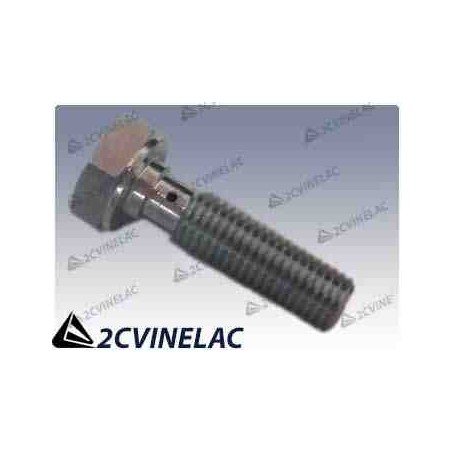 REF 4383. TORNILLO DEL TUBO DE ENGRASE  (BURTON).