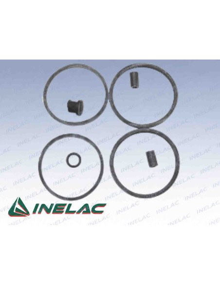 REF 882. KIT REPARACION PINZA FRENO: SUSTITUCION DE LHM A DOT4.